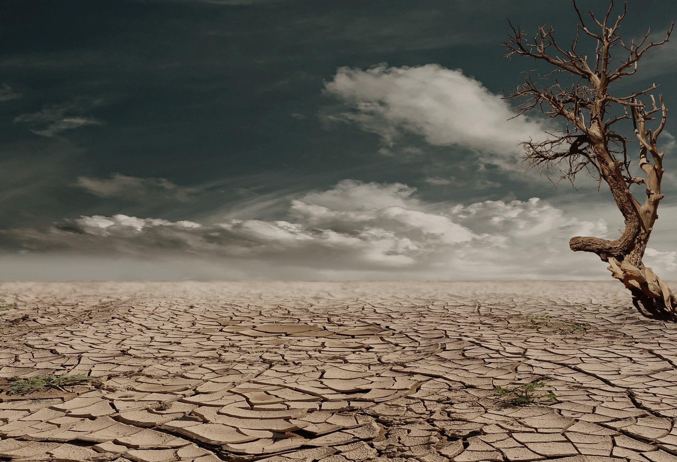 绵州记忆丨九八年的旱灾，让我见识了缺水的日子是什么样的